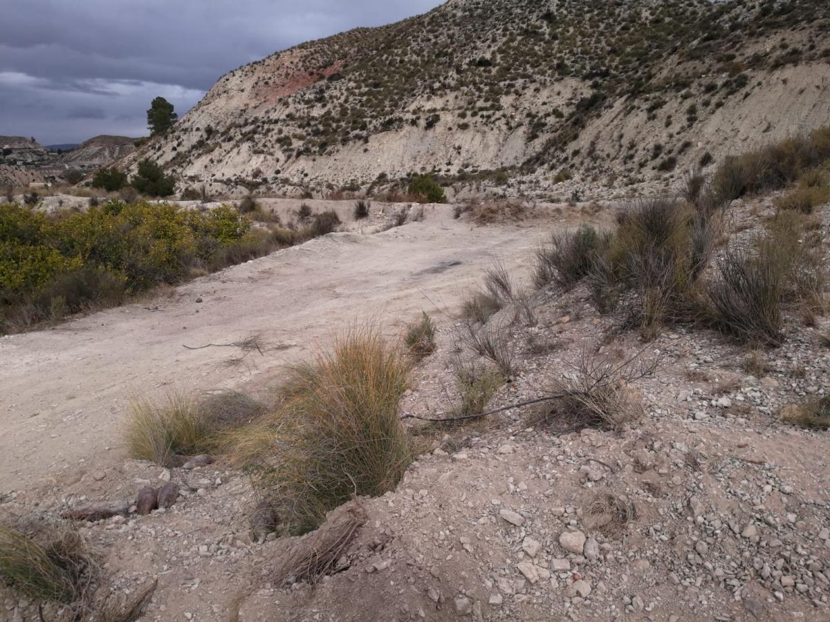 03-07-2020_20-01-2020_IMG-20200119-WA0007 (1).jpg